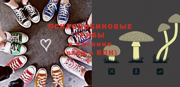 спиды Аркадак