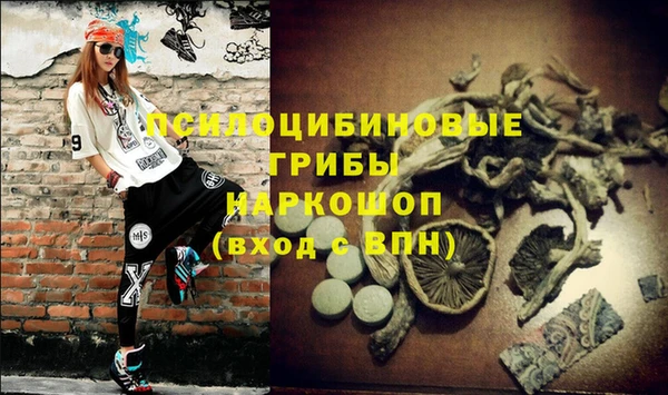 спиды Аркадак