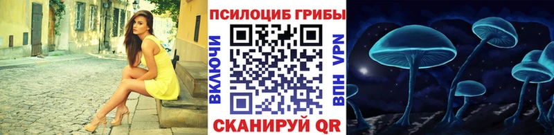 наркота  Белокуриха  Галлюциногенные грибы Cubensis 