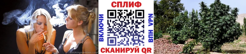 Канабис Bruce Banner Белокуриха